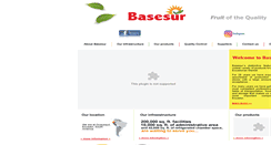 Desktop Screenshot of basesur.com