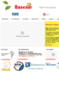Mobile Screenshot of basesur.com